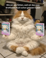 3. Instagram-Bild