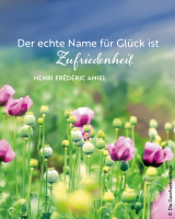 1. Instagram-Bild