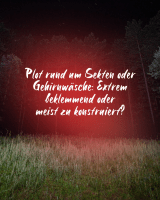1. Instagram-Bild