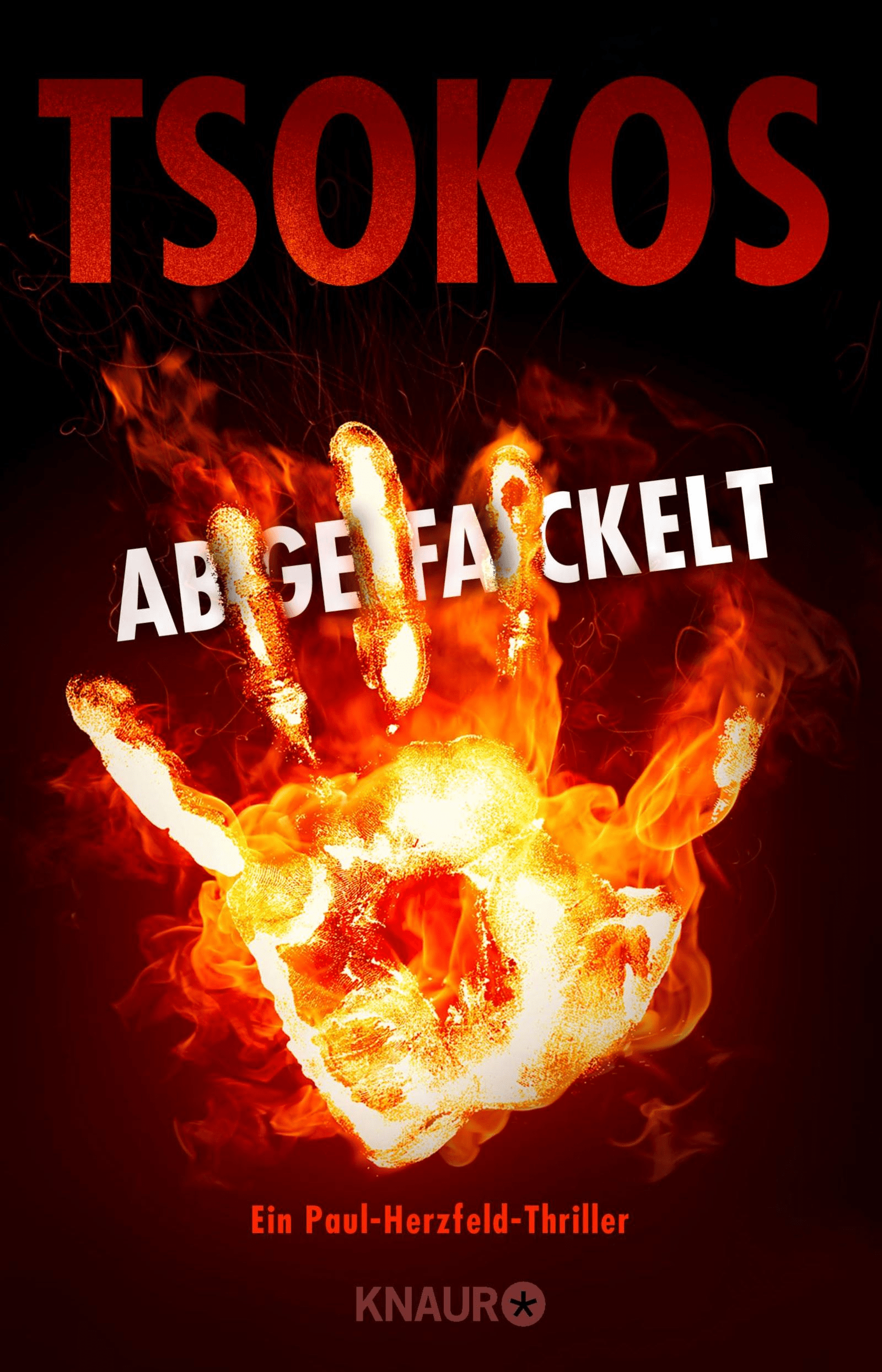 Tsokos - Abgefackelt Cover