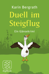 Duell im Steigflug
