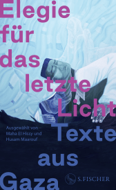 Elegie für das letzte Licht