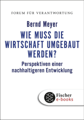 Buchcover von Wie muss die Wirtschaft umgebaut werden?: Perspektiven einer nachhaltigeren Entwicklung von Bernd Meyer