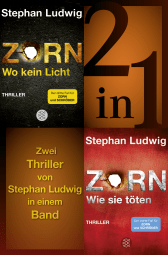 Wo kein Licht / Wie sie töten - Zwei Zorn-Thriller in einem Band