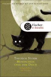 Buchcover von Mondschein über dem Deich: Spukgeschichten und Märchen von Theodor Storm