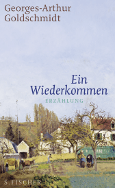 Buchcover von Ein Wiederkommen: Erzählung von Georges-Arthur Goldschmidt