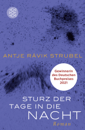 Buchcover von Sturz der Tage in die Nacht: Roman von Antje Rávik Strubel