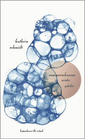 Buchcover von sommerschaums ernte: gedichte von Kathrin Schmidt