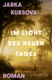 Buchcover von Im Licht des neuen Tages: Roman von Jarka Kubsova