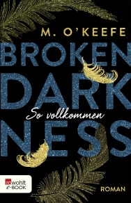 Broken Darkness: So vollkommen