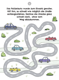 in_40_raetseln_sind_wir_da_autofahrt
