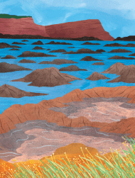Illustrierte Landschaft des Curio Bay in Neuseeland, felsige Landschaft mit Meerzugang
