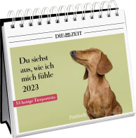 Du siehst aus, wie ich mich fühle 2023