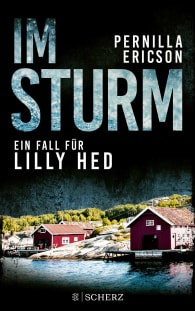 Im Sturm