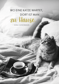 Zusatzmaterial PA 4036442014431 innen 014 von Buchkalender 2027: Für Katzenfreunde