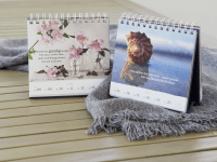 Wochenkalender 2026: Schöne Aussichten auf die besten Jahre Zusatzmaterial