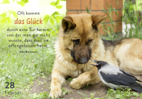 365 mal tierisch gut drauf! Zusatzmaterial