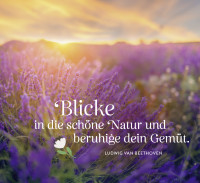 Lass Sonne in dein Herz Zusatzmaterial