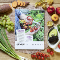 Wochenkalender 2026: Obst und Gemüse haben immer Saison Zusatzmaterial