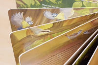 Der kleine Waschbär traut sich was – ein Bilderbuch für Kinder ab 2 Jahren Zusatzmaterial