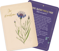 Zusatzmaterial PA 4036442011508 innen 015 von Die geheimnisvolle Sprache der Blumen – 50 Orakelkarten für das ganze Jahr