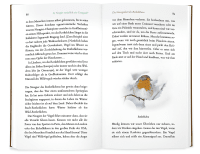 Kleine Philosophie der Vögel Zusatzmaterial