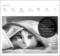 Postkartenkalender 2027: Inspirierende Worte für Katzenfreunde Zusatzmaterial