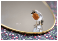 Mitbringsel – Postkartenbuch Zusatzmaterial