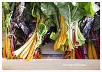 für dich – Postkartenbuch Zusatzmaterial