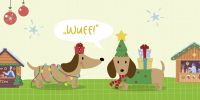 Zusatzmaterial PA 978 3 629 01607 2 innen 014 von Zum Schieflachen!: Die besten Weihnachtswitze für Kinder