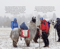 Mit drei Lamas nach Rom Zusatzmaterial