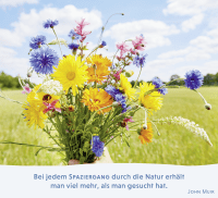 Zusatzmaterial PA 978 3 8485 0215 8 innen 013 von Glückspausen für den Alltag