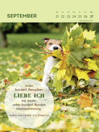 Wochenkalender 2026: Hunde sind die besten Freunde Zusatzmaterial