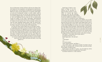 Zusatzmaterial PA 978 3 8485 0370 4 innen 012 von Magie des Waldes: Geschichten, Märchen und Mythen aus einer verwunschenen Welt von Kasia Sierpiński