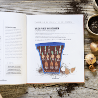 Blumenzauber – Mein blühendes Paradies auf Balkon und Terrasse Zusatzmaterial