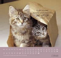 Zusatzmaterial PA 4036442014660 innen 011 von Wandkalender 2027: Für Katzenfreunde