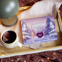 Find me between Christmas trees Zusatzmaterial