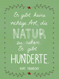 Lebe wild und voller Wunder Zusatzmaterial