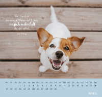 Zusatzmaterial PA 4036442014653 innen 011 von Wandkalender 2027: Für Hundefreunde