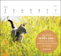 Mini-Wochenkalender 2026: Für Katzenfreunde Zusatzmaterial