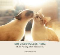 Zusatzmaterial PA 978 3 8485 0280 6 innen 014 von Zur Hochzeit: Für ein glückliches Leben zu zweit von Julia Buck