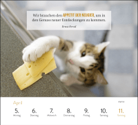 Zusatzmaterial PA 4036442015001 innen 011 von Wochenkalender 2027: Kluge Katzen