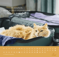 Zusatzmaterial PA 4036442014684 innen 013 von Wandkalender 2027: Einfach mal abhängen