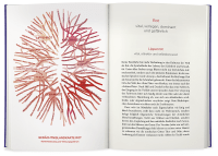 Die geheimnisvolle Macht der Farben Zusatzmaterial