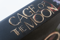 Zusatzmaterial PA 978 3 426 56475 2 detail 037 von Cage of the Moon: Roman von Noah Stoffers