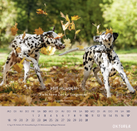 Zusatzmaterial PA 4036442014653 innen 013 von Wandkalender 2027: Für Hundefreunde