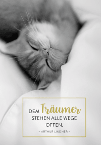Buchkalender 2026: Für Katzenfreunde Zusatzmaterial