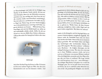 Kleine Philosophie der Vögel Zusatzmaterial