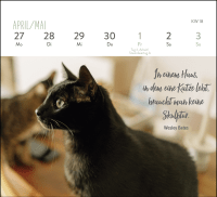 Mini-Wochenkalender 2026: Für Katzenfreunde Zusatzmaterial