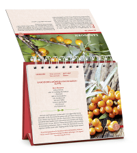 Zusatzmaterial PA 978 3 426 65877 2 innen 004 von Die Wildpflanzen-Apotheke - Kalender: Mit 53 Heilrezepten durch das Jahr von Dr. Markus Strauß
